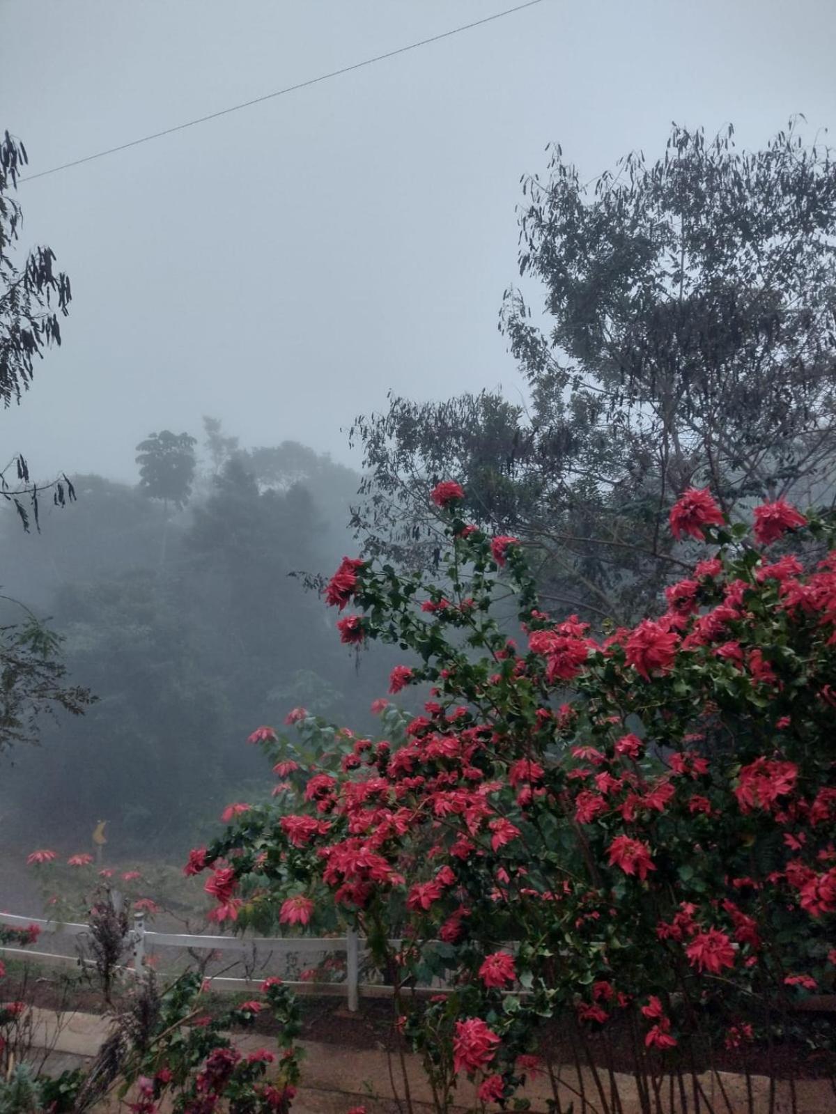 Pousada Rancho Das Flores Espera Feliz Ruang foto