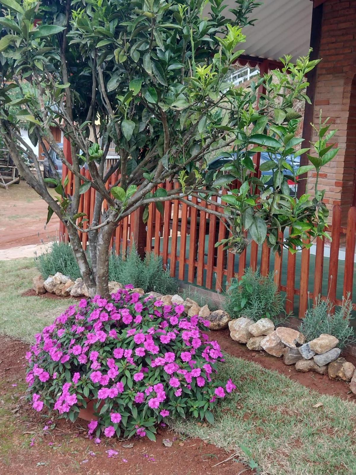 Pousada Rancho Das Flores Espera Feliz Ruang foto